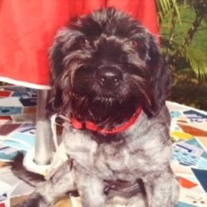 Meet your Posher, Brenda